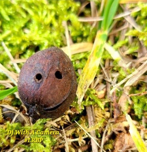 Screenshot_20250830_070301_Gallery