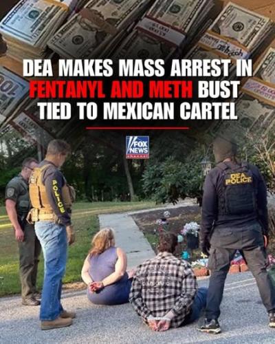 DEA Arrest