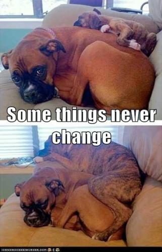 some-things-never-change