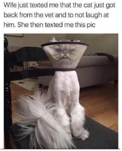 FB_IMG_1755450009509