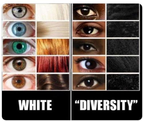 diversity not