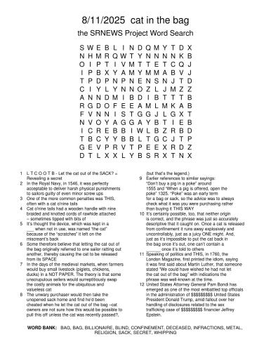8112025CatInTheBag
