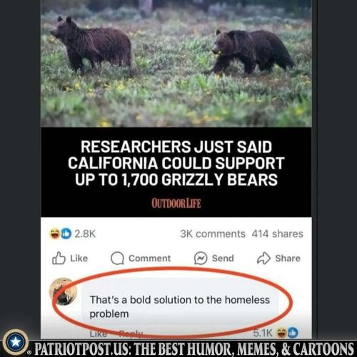 01K2SHN2NFZ5BWJF3MP89XNBTZ