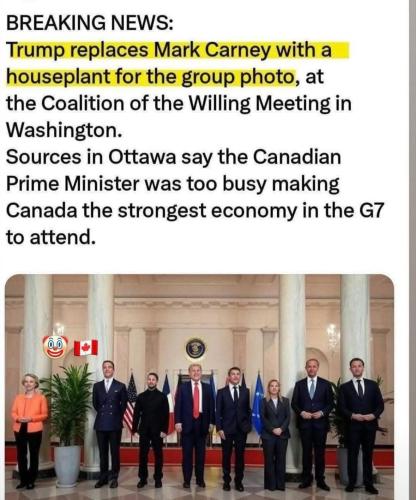 replace with a plant