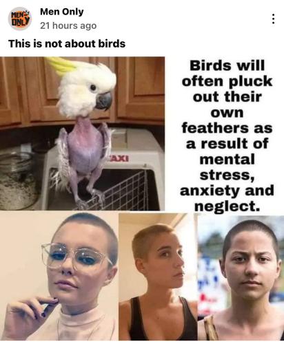 673A62B6-46A2-4589-A5C4-9DD9EC6E4D92