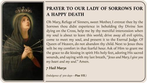 FB_IMG_1726435131281