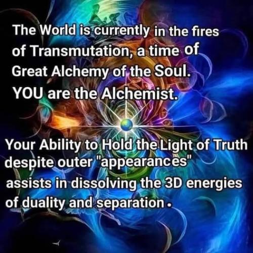 532601924_771038115812383_4625251567959624719_n