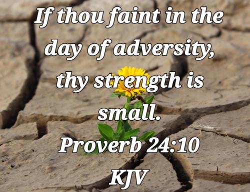 5829ba71-7c78-43fd-b2c6-1882ec25babd