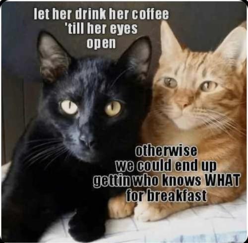 c8d0891f029b53a05706b8cc3bfd30f5