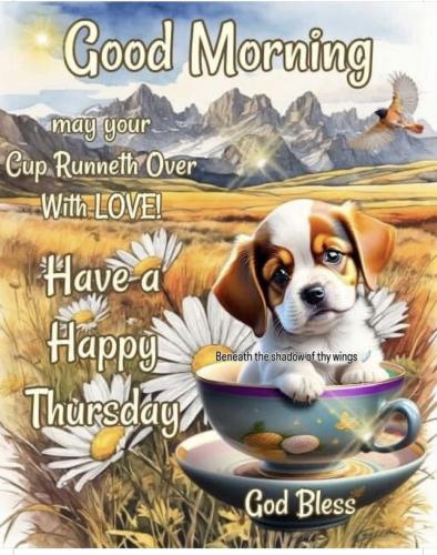 528652118_18019923449743683_3861081594744973108_n