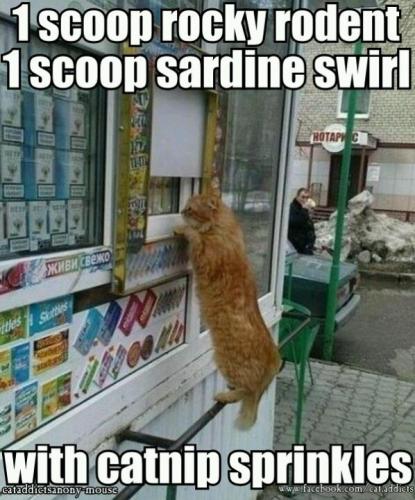 4f822433276c6574860e4c55c3b098c0