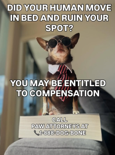 Screenshot 2025-08-06 110942