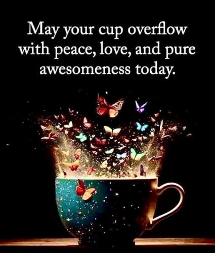 532595974_1203957525108943_8433583461378190577_n