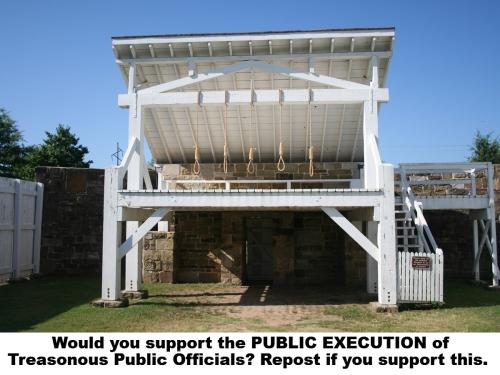 Would you support the PUBLIC EXECUTION of Treasonous Public Officials MASTER COPY.1200px