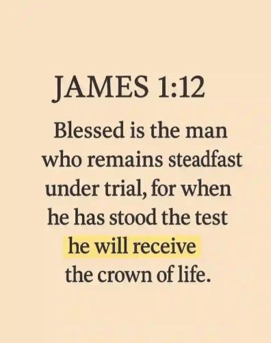 520809930_1059853366328869_6985973371222632887_n