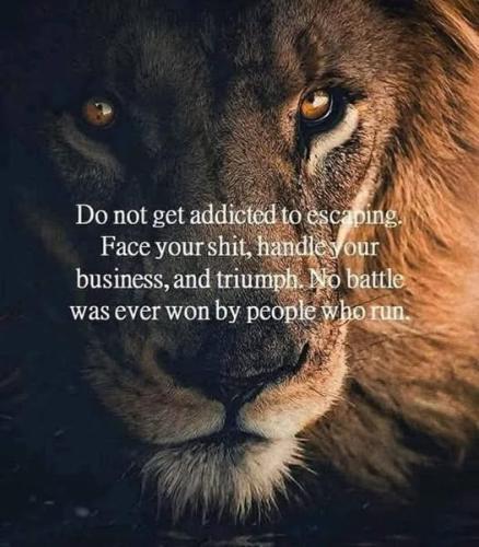 540910912_706400669092212_6058480908109691546_n