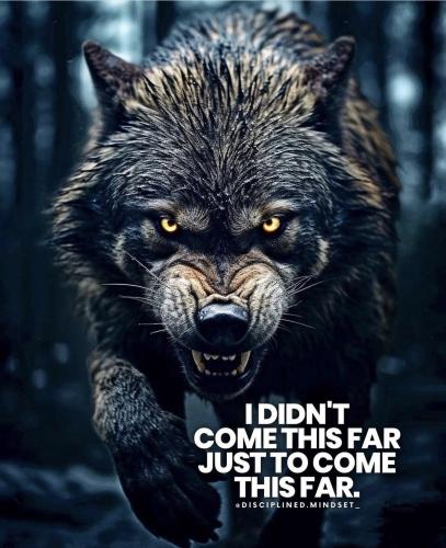 d44762912b4258244aa3f0f2ecf52a29