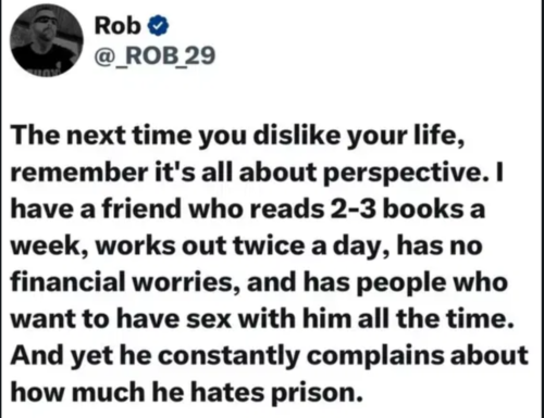 566b052516bc89b7c961c5893166c813_1024