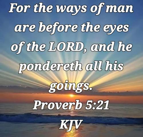 49ba5c8f-23c2-4ee6-94c2-99eec94e5909