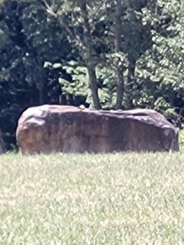 be655714-2cc9-4728-9527-84d9f66ae437