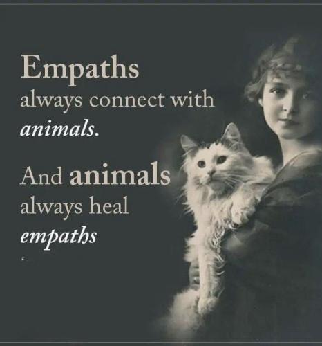 af4b98e98a8c69860c388b91117f0ea9