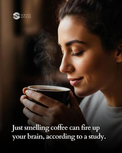 ab6cd191-e08c-4358-b7cc-4245e5782ec8