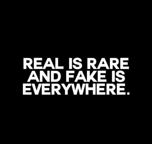 cb3dd8019ccac74eb6cb96ba6acaa4da