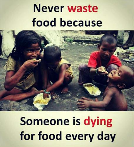 c015b07f8a2ff2764e37a63656ff3033