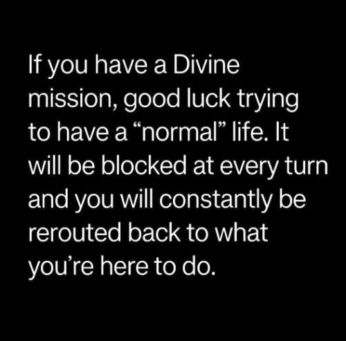 527132178_1290157506150273_1408733389222315008_n