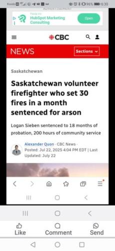 sentenced for arson