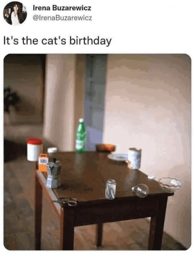 irena-buzarewicz-irenabuzarewicz-s-cats-birthday