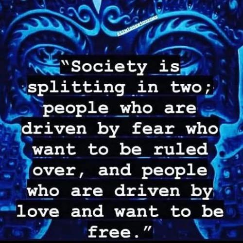 535256429_777548088494719_148720215411643205_n