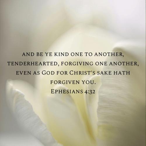 5CFBB451-73EA-4F6A-97AE-4E24C70C1356