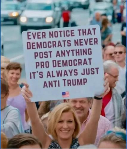 nothing-pro-democrat