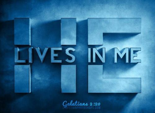 8fa75390838b7b56cd92b9b3bc617e2e