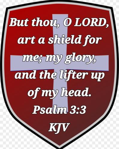 7ec8f214-5331-4afc-903b-f4e736087130