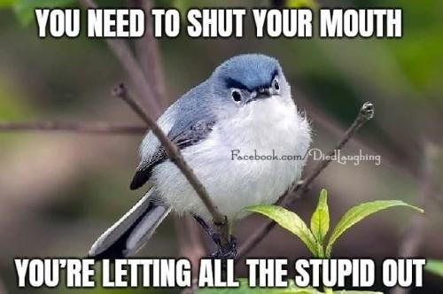 FB_IMG_1756498672391