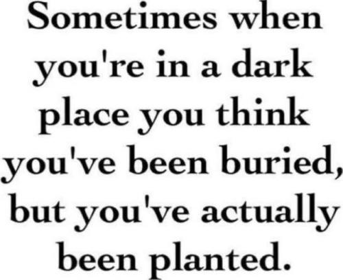 534220899_24496229410006487_7752161904741494208_n