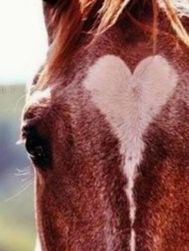 d5f16597a24dbca0ecdebf2004577760