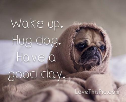 d879cae6a8a9b7648f8d4d3275b792dd