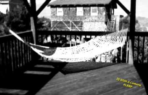 Screenshot_20250810_064411_Gallery