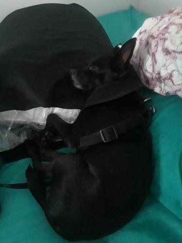 ac405497-2757-4ccd-9bee-e9150c7d01dc