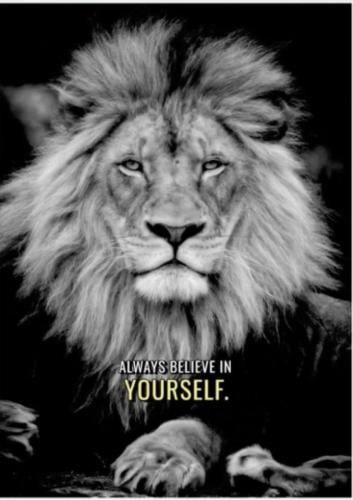 997e0908bfe70c9daa511054762d382b