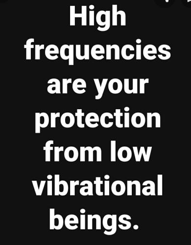 f9e6bdc534576d3cc50853a047381e45