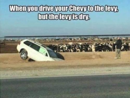 Screenshot_20250823_165312_Gallery