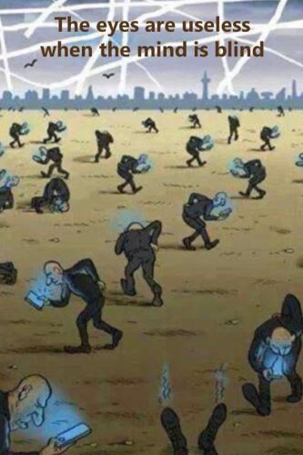 2473a06494212f0a9a011c02a2cfee07