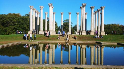National Arboretum in DC
