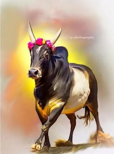 ca622e65-0dc6-41b0-9d80-5386b7f495b0