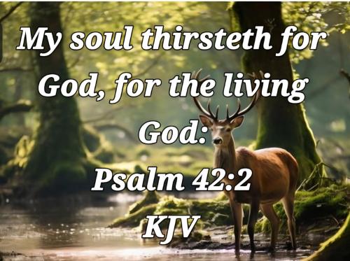 35465034-d961-4578-833c-a1aef1daaeae