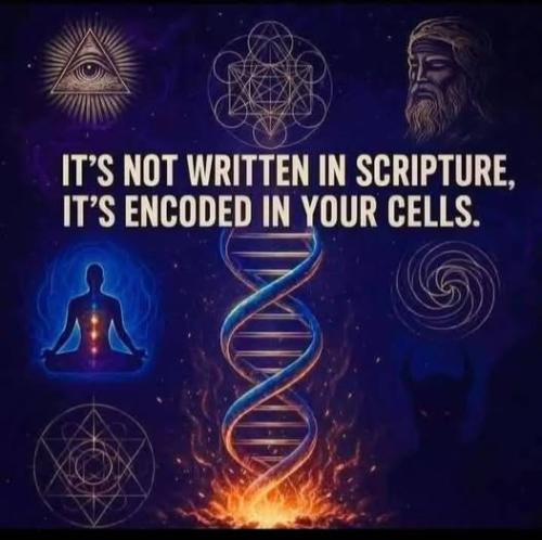 536195584_775315412051320_7731240929930303639_n